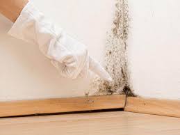  Three Way, TN Mold Removal & Remediation Pros